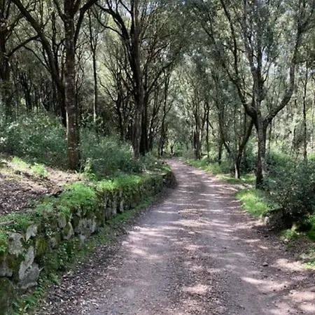 Vivi Natura Villa