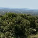 Vivi Natura فيلة Marrùbiu