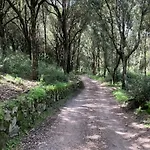 Vivi Natura فيلة