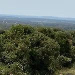Vivi Natura فيلة *