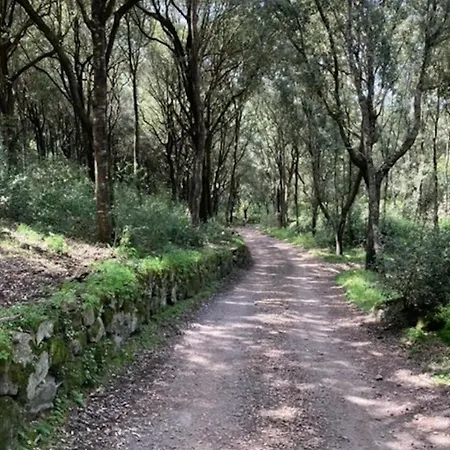 Vivi Natura Villa